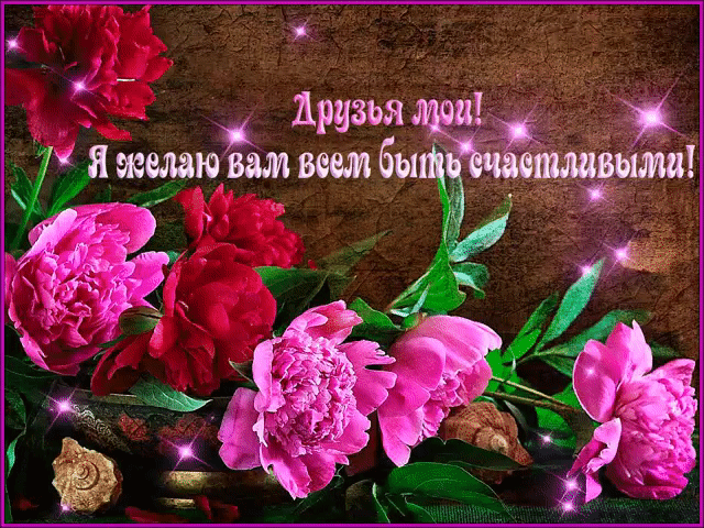 Я желаю вам быть счастливыми