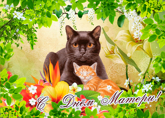Потрясающая открытка с днём матери
