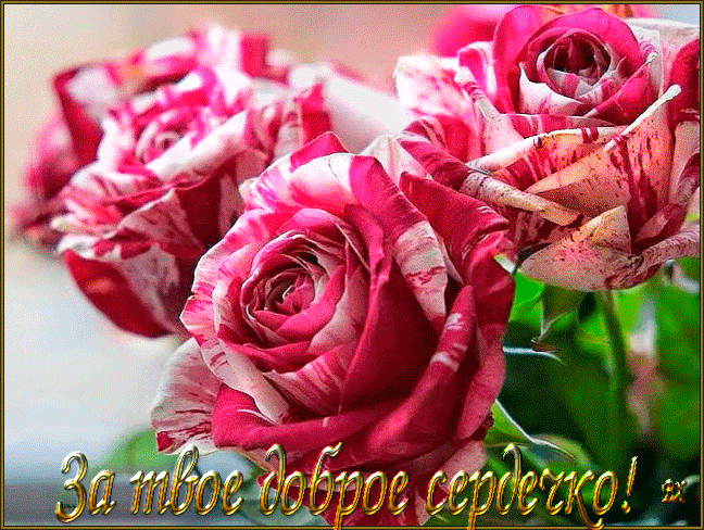 За твое доброе сердце