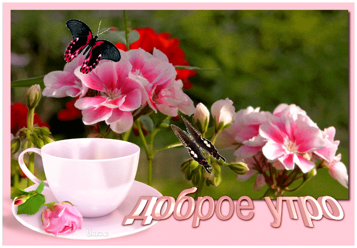 Доброе утро милая открытка
