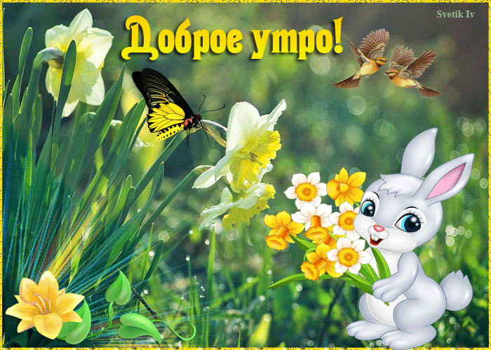 Доброе утро зайчик