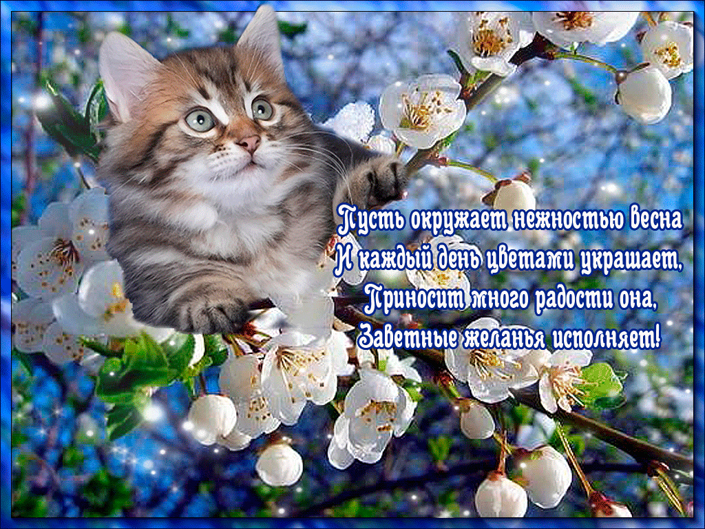 Живая открытка C первым днем весны