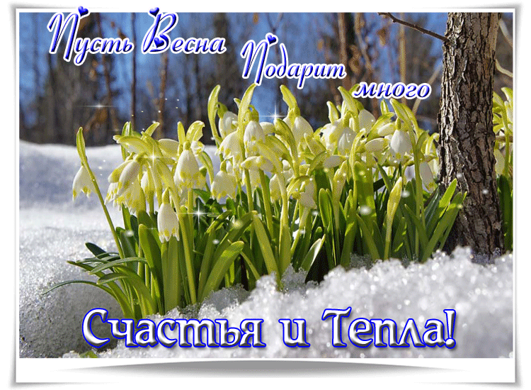 Милая картинка с первым днем весны