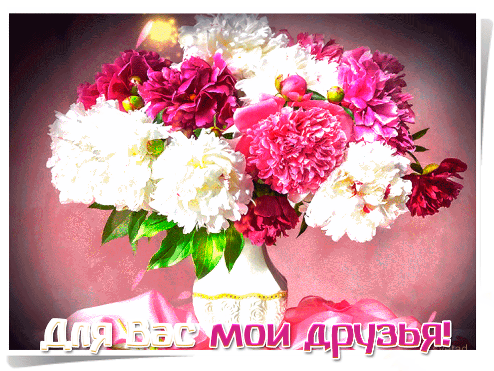 Для вас мои друзья Gif