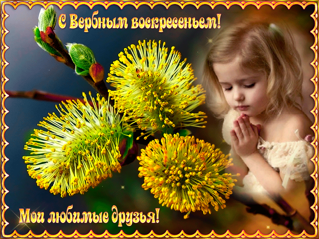 С Вербным Воскресеньем, мои друзья