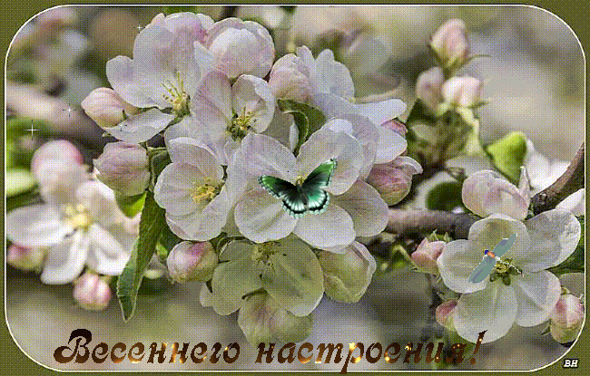 Весеннего настроения!