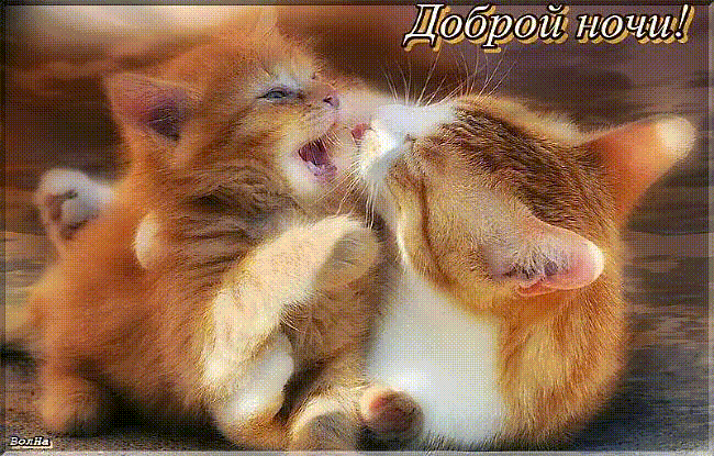 Доброй ночи gif!