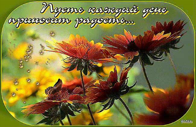 Пусть каждый день приносит радость!