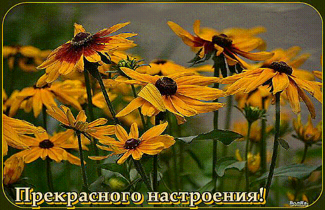 Прекрасного настроения!