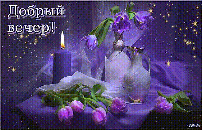 Добрый вечер!