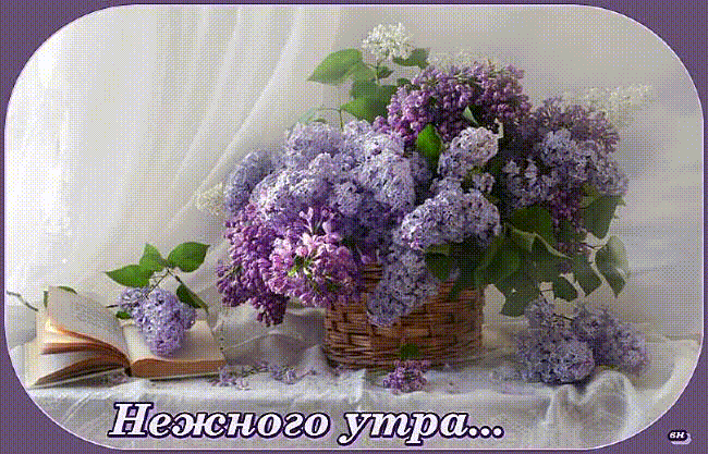 Нежного утра!
