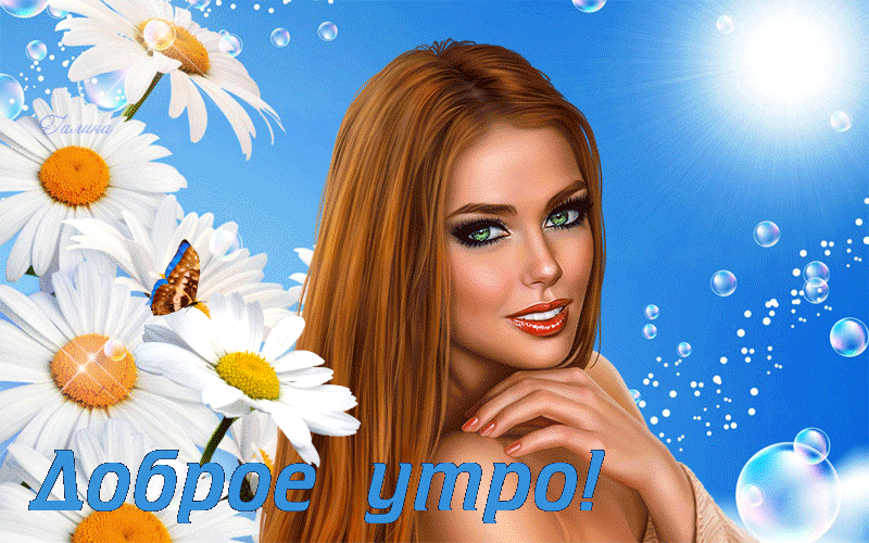 Доброе утро - прекрасные ромашки для тебя