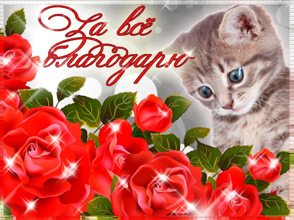 За все благодарю