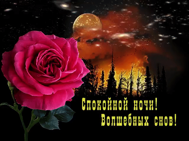 Спокойной ночи! Волшебных снов!