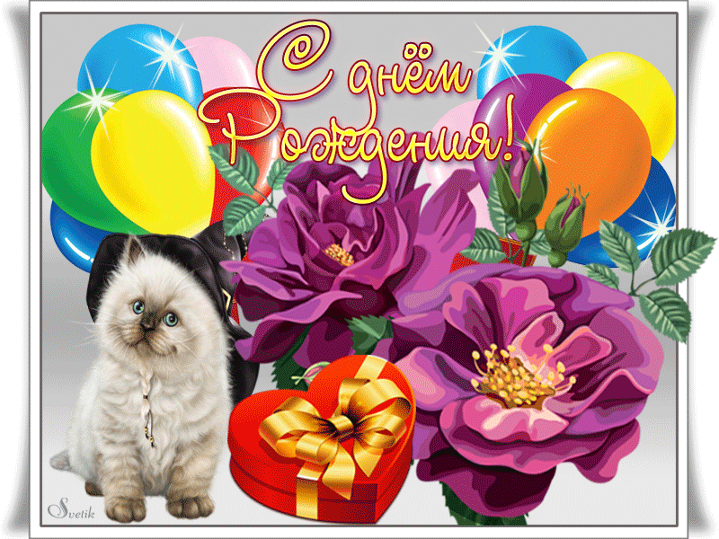 Картинка с днем рождения с котиком