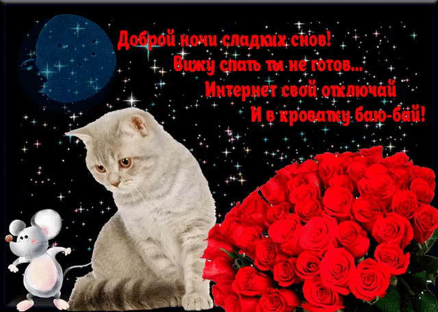 Доброй ночи дарю тебе букетик красных роз