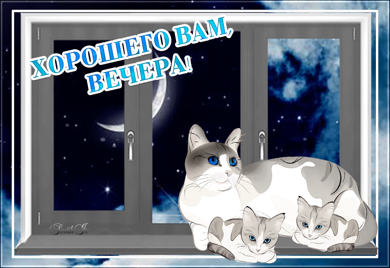 Открытка с пожеланием доброго и уютного вечера