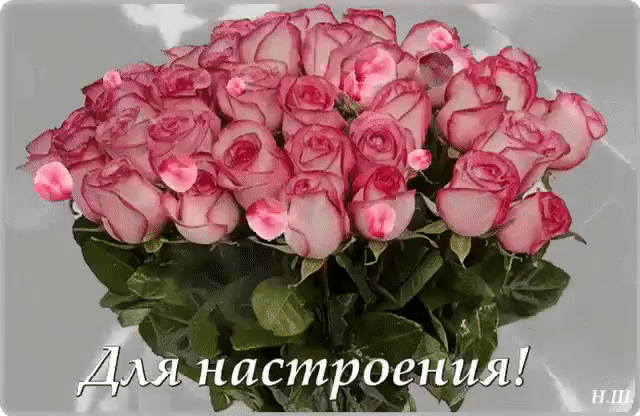Букет роз вам для настроения
