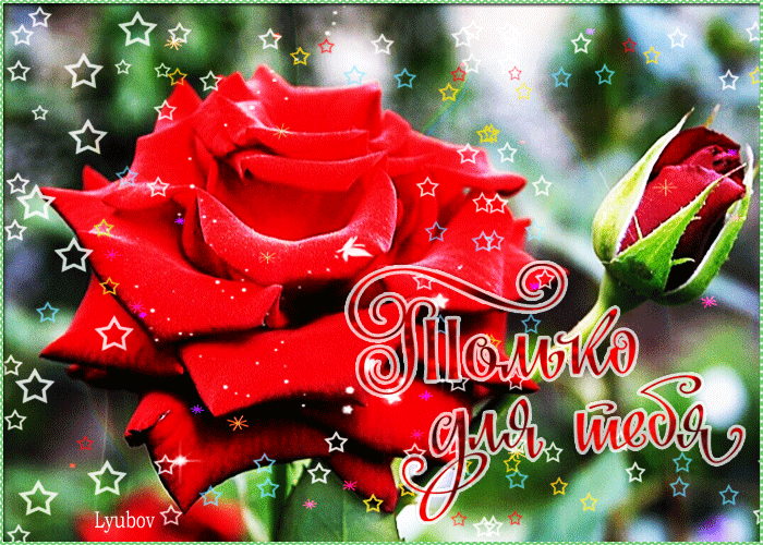 Только для тебя эта роза