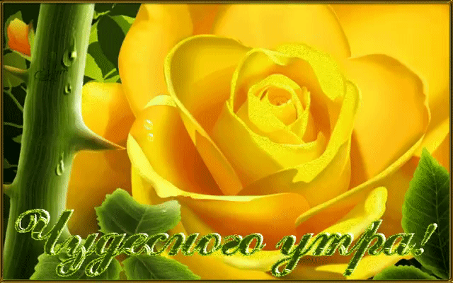 Чудесного утра