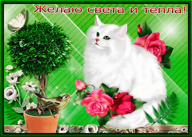 Желаю счастья и тепла мерцающая открытка