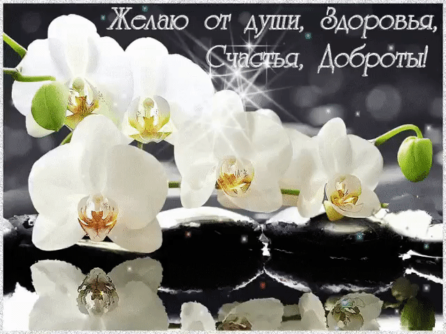 Желаю от души, здоровья, счастья, доброты