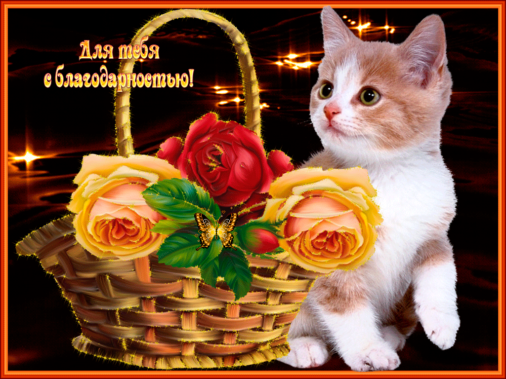 Для тебя с благодарностью