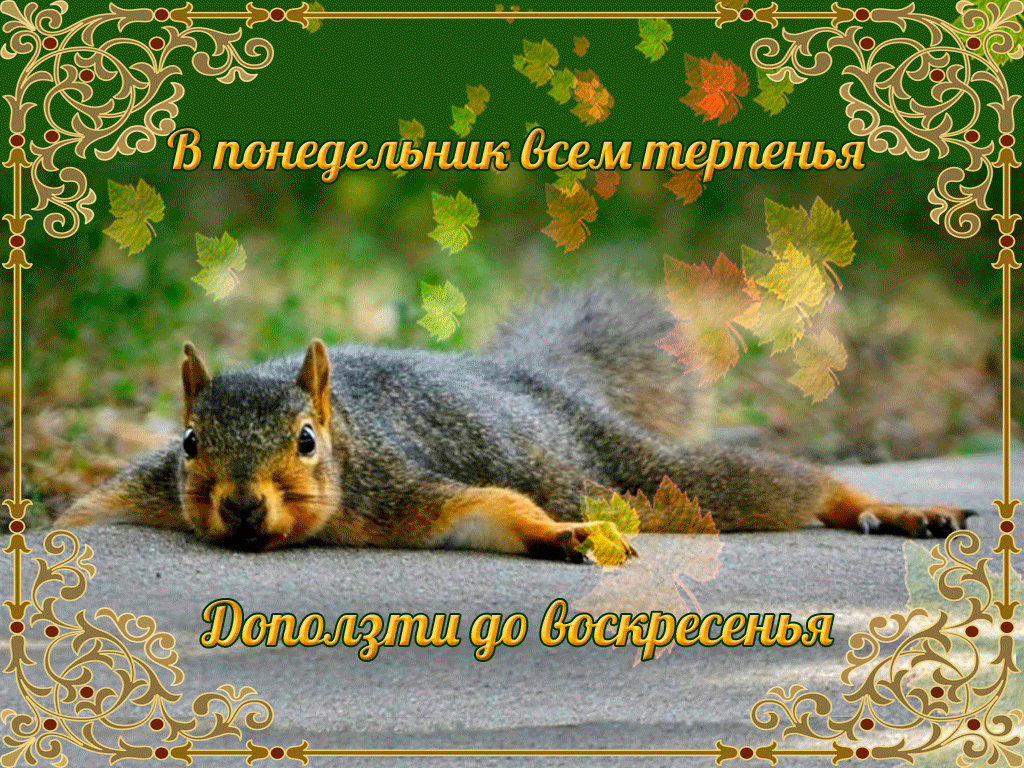 В понедельник всем терпения