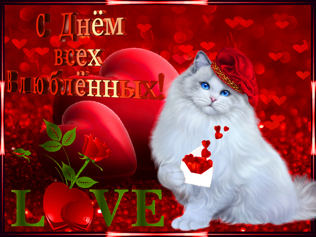 С днем влюбленных гиф открытка