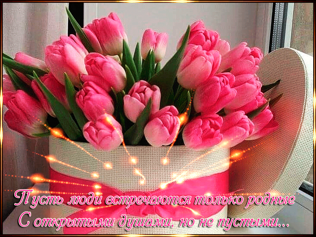 Красивые тюльпаны для тебя