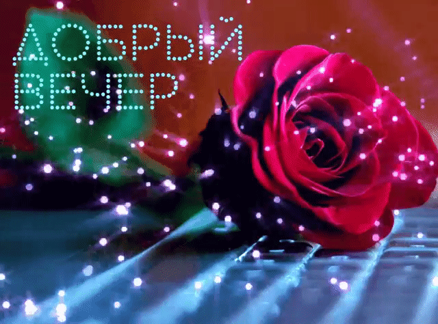 Добрый вечер, это роза для тебя