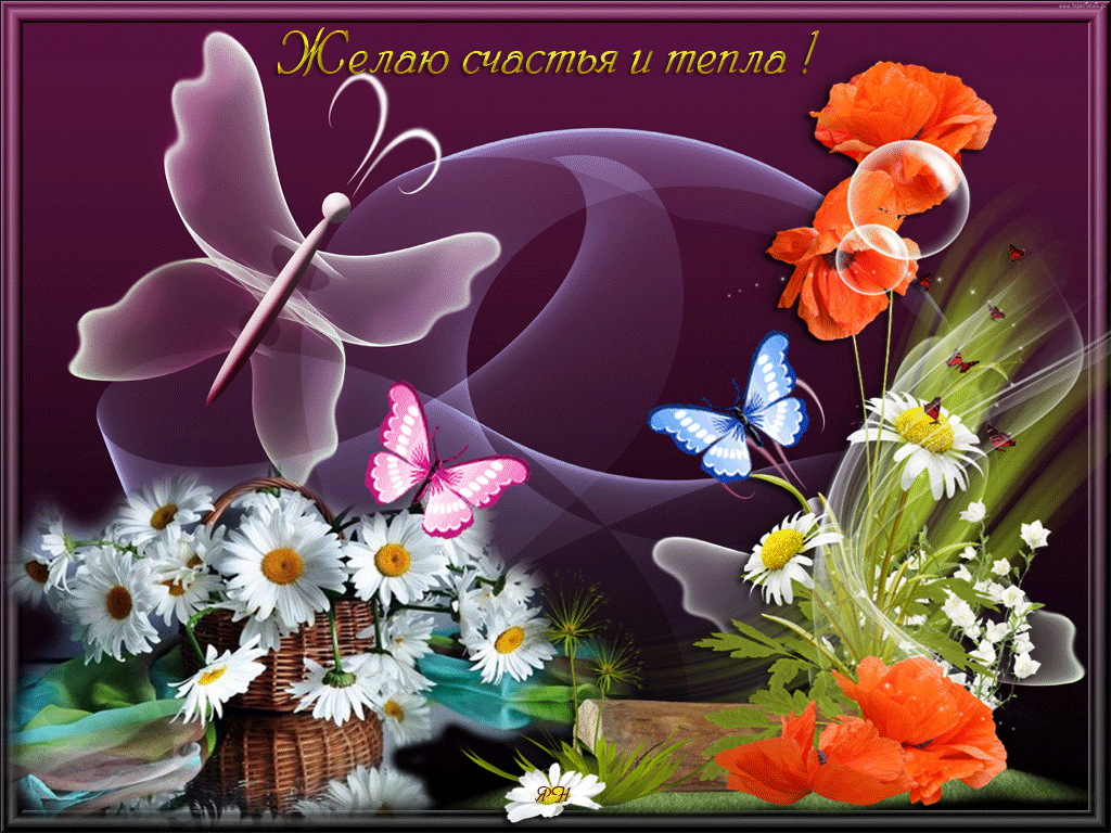 Желаю счастья и тепла открытка