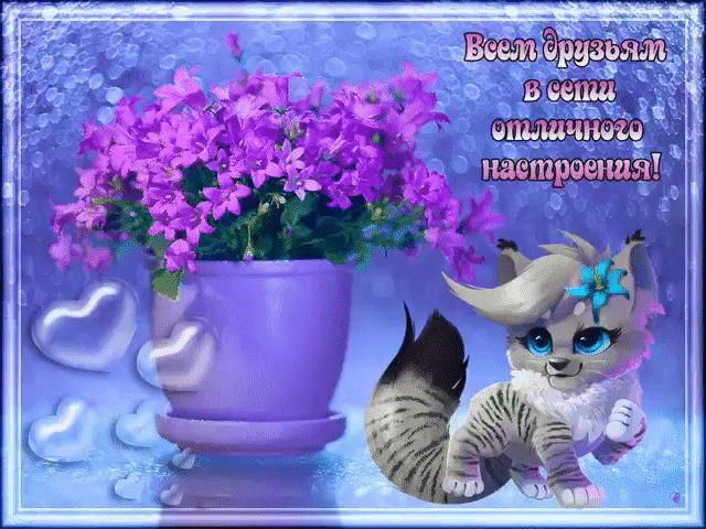 Всем друзьям в сети хорошего настроения