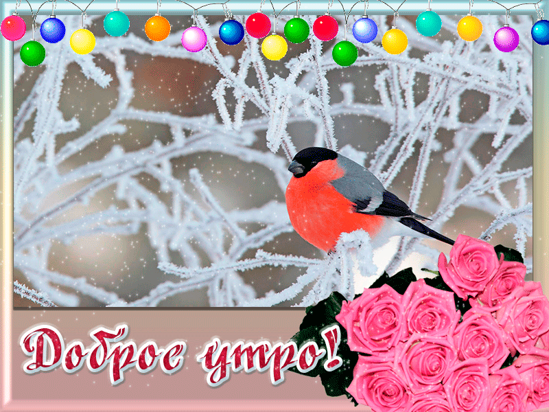 Доброе зимнее утро