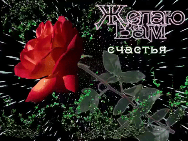 Желаю вам счастья