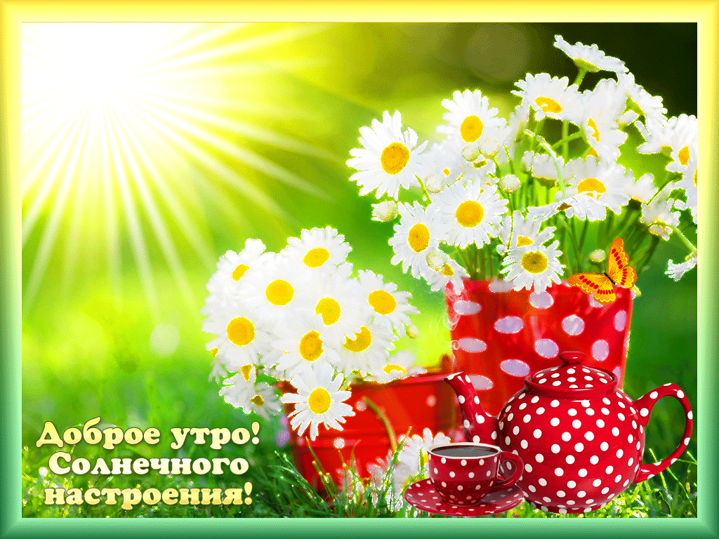 Доброе утро тебе друг