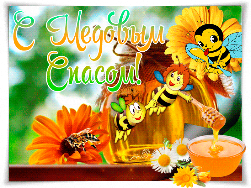 Красивая открытка Медовый Спас