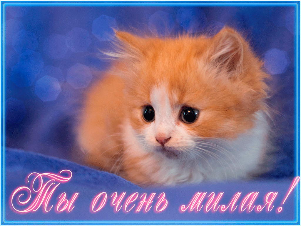 Открытка ты очень милая 