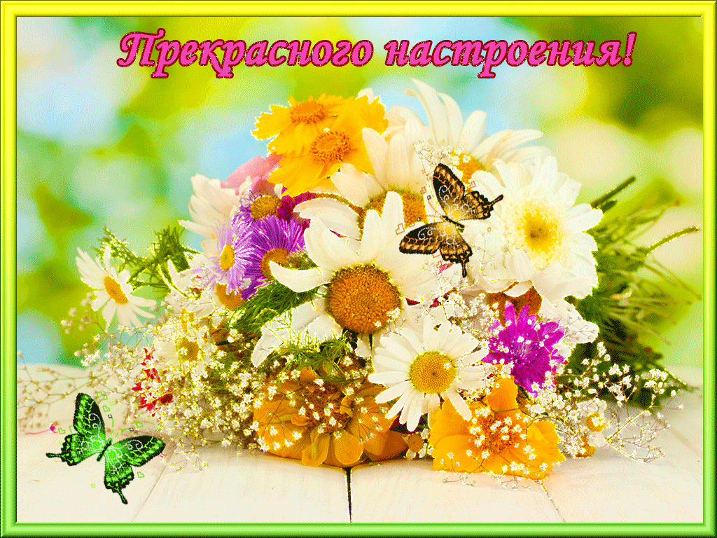 Желаю прекрасного настроения