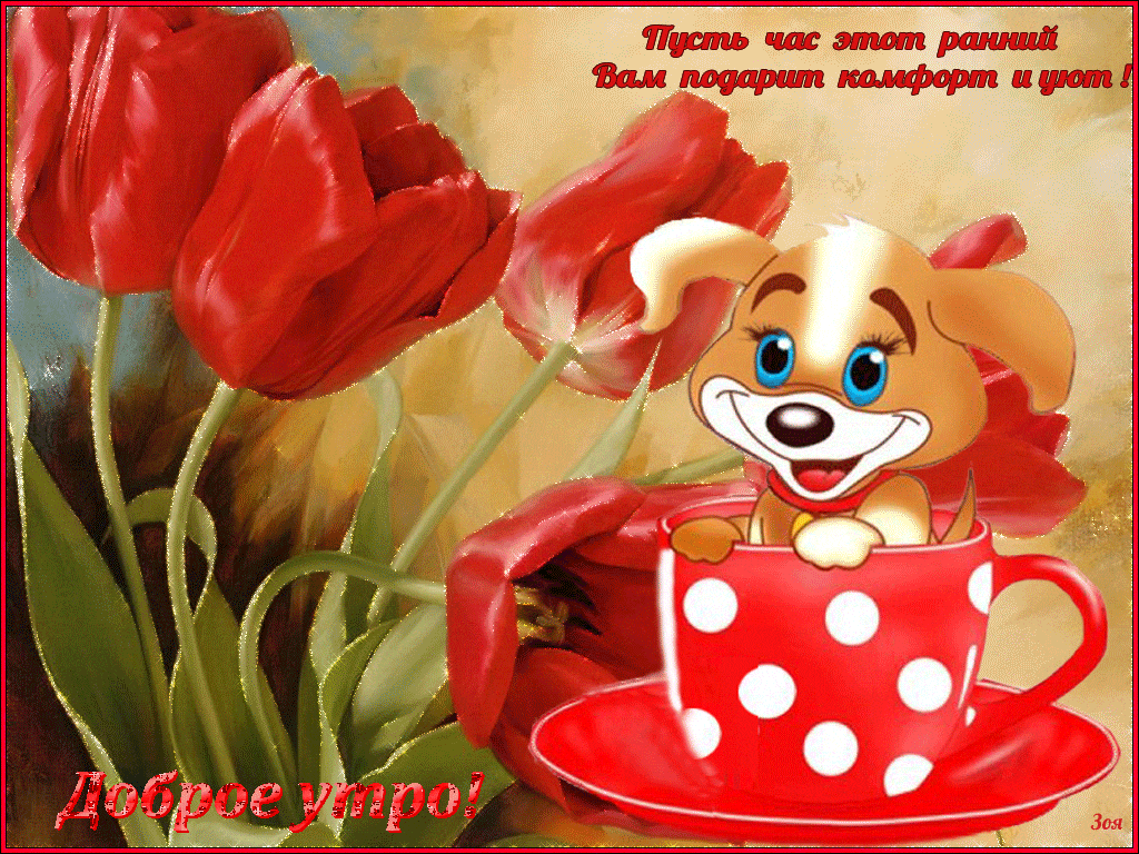 Эти тюльпаны для тебя, с добрым утром