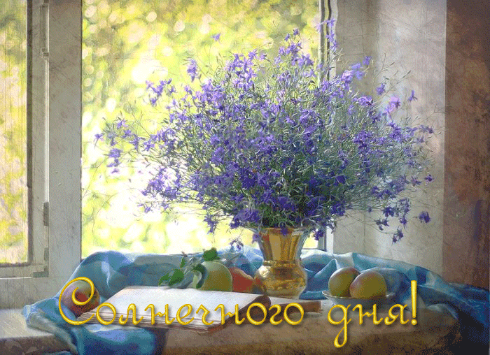 Картинка солнечного дня