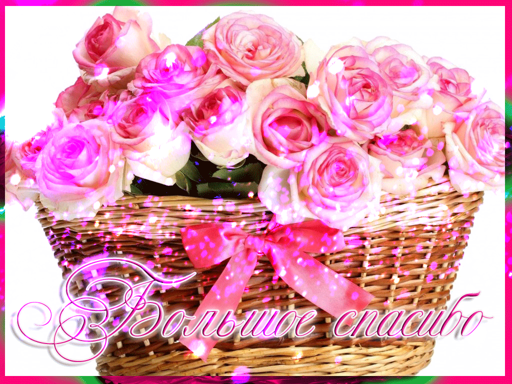 Большое спасибо