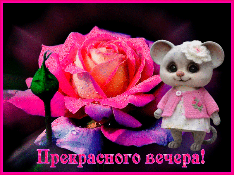 Прекрасного вечера 