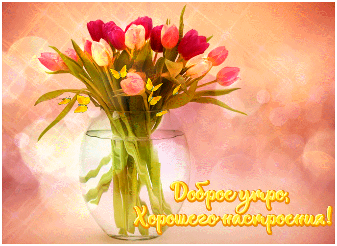Доброе утро и хорошего настроения