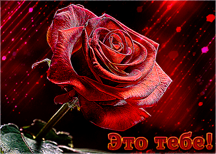 Это мерцающая роза для тебя