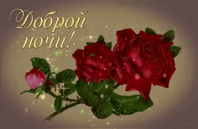 Доброй ночи, тебе эти красивые розы
