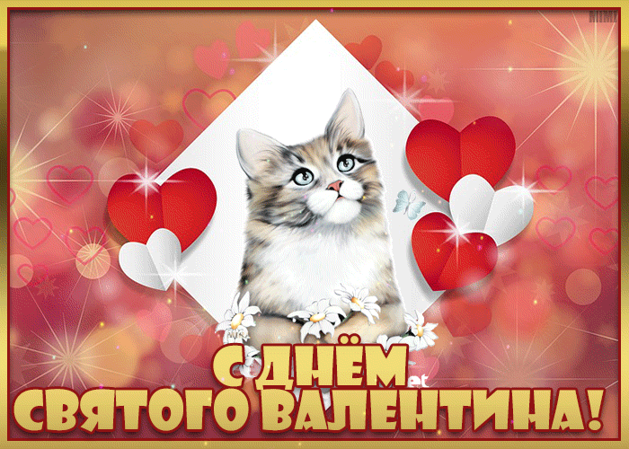 Красивая открытка С Днём влюблённых