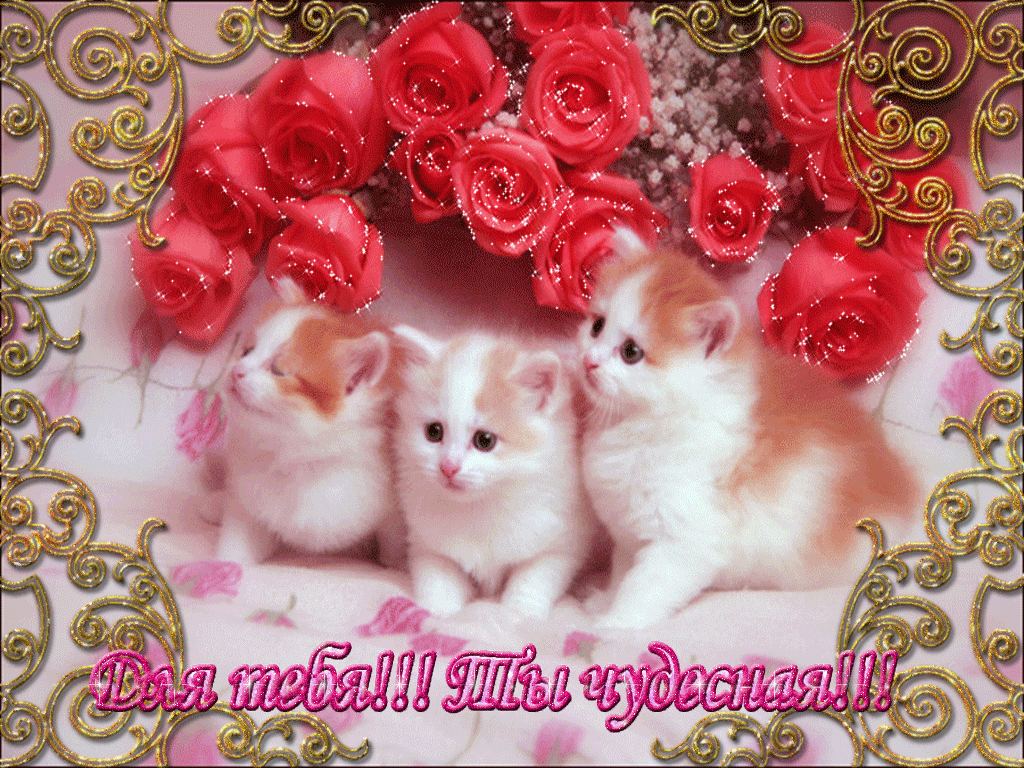 Открытка ты чудесная