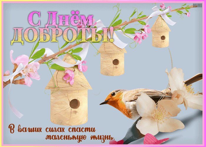 Позитивная картинка с днем доброты