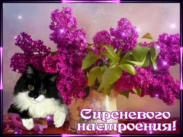 Сиреневого настроения открытка
